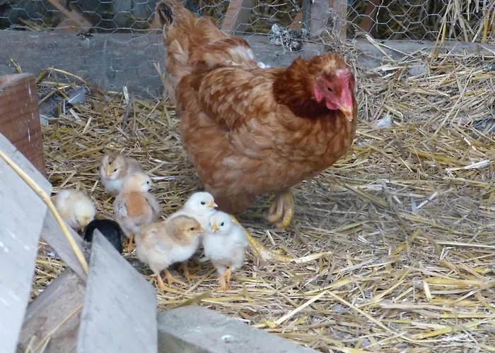 بيت للعطل Authentique Confortable Convivial Spacieux Elegant غمبلو